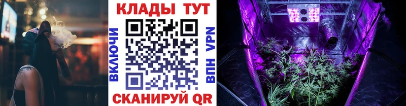 Магазины продажи наркотиков Алзамай Alpha-PVP  Галлюциногенные грибы  Гашиш  Канабис  COCAIN 