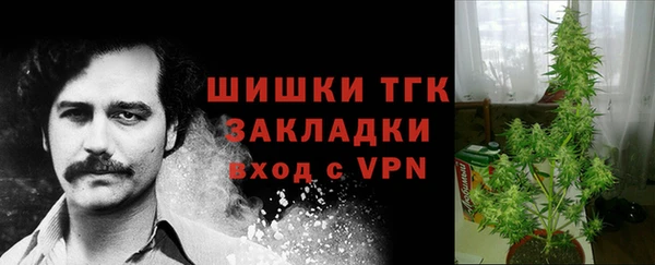 спайс Абдулино