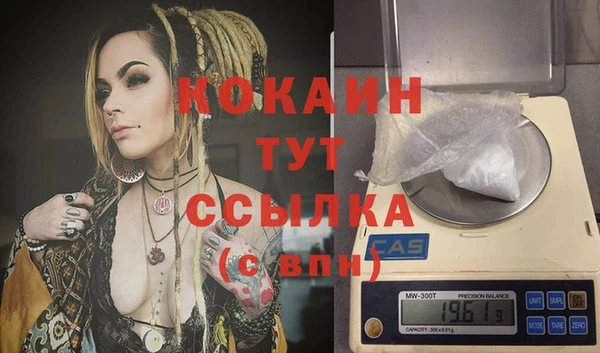 spice Алексин