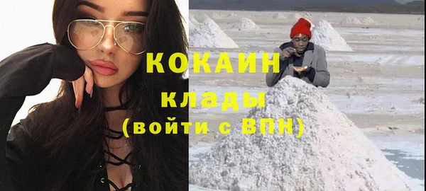 хмурый Абаза