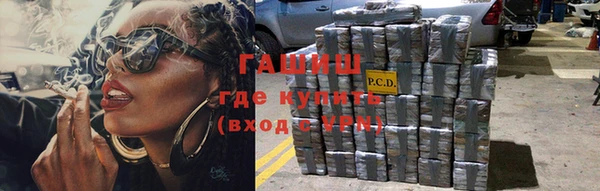 хмурый Абаза
