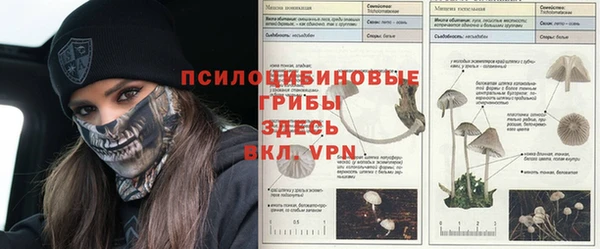героин Абинск