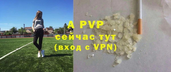 хмурый Абаза