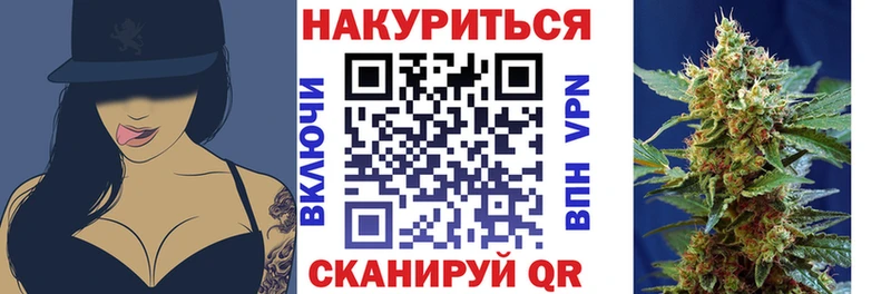 Канабис гибрид  Алзамай 